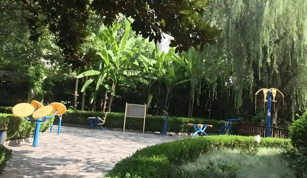 非应届生转深圳户口_偶遇何猷君穿两年前的增高鞋，奚梦瑶外八严重 备专高端生、增高鞋